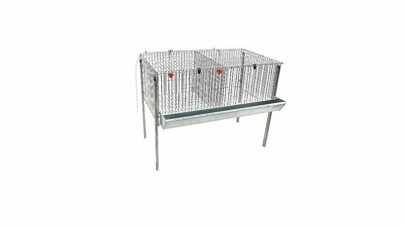 JAULA DE POLLOS POLY-2