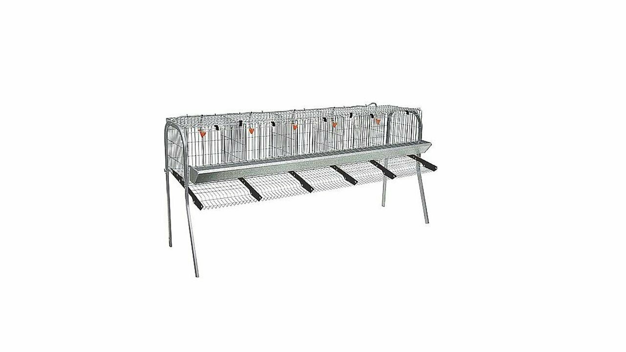 JAULA GALLINAS MOD. A-5