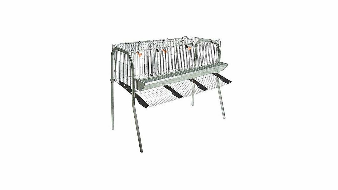 JAULA GALLINAS MOD. A-3