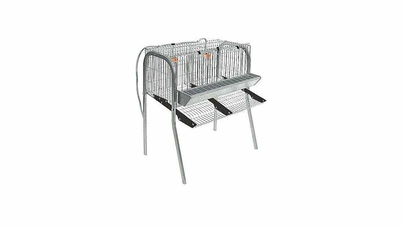 JAULA GALLINAS MOD. A-2 1 PISO