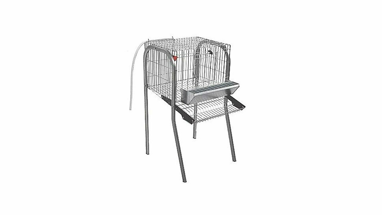 JAULA GALLINAS MOD. A-1