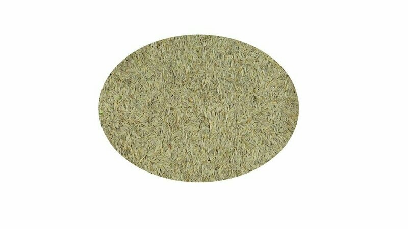 LECHUGA BLANCA