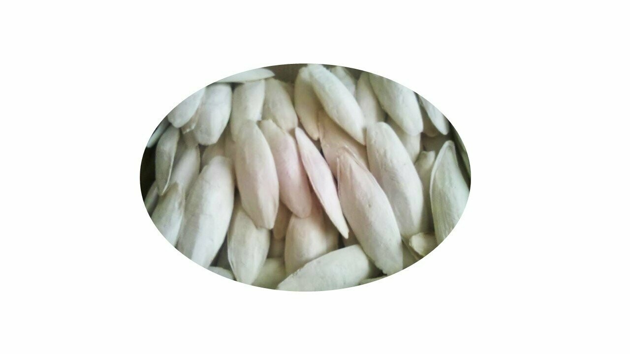 JIBIAS PARA PÁJAROS