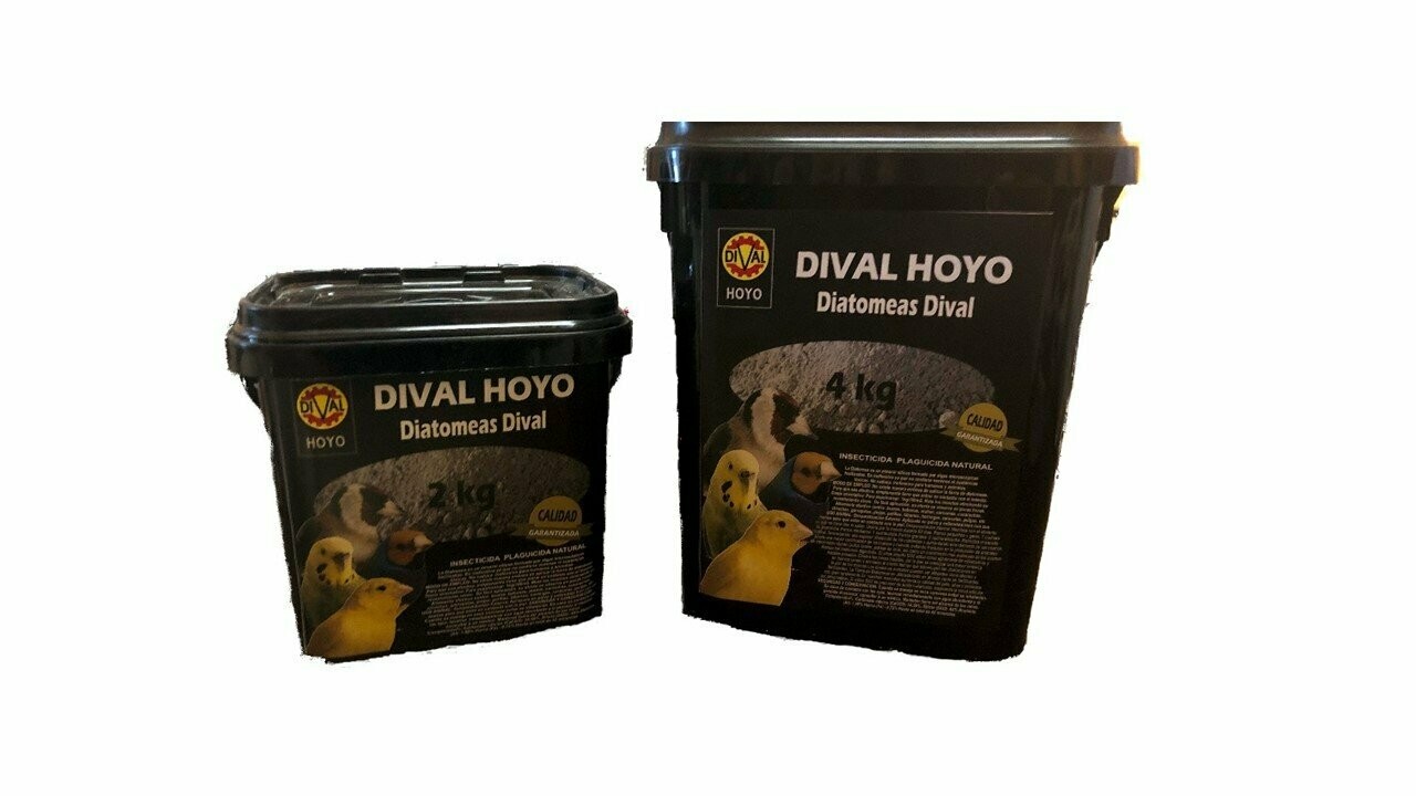 DIATOMEAS DIVAL