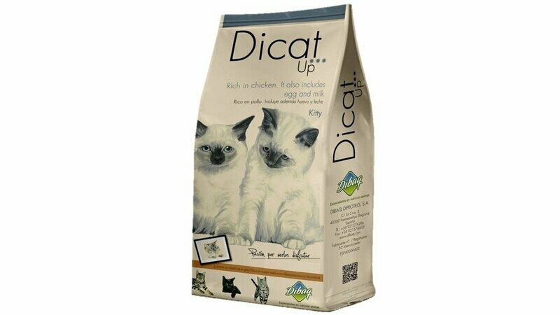 DICAT UP KITTY