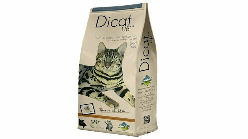 DICAT UP LAND TASTE