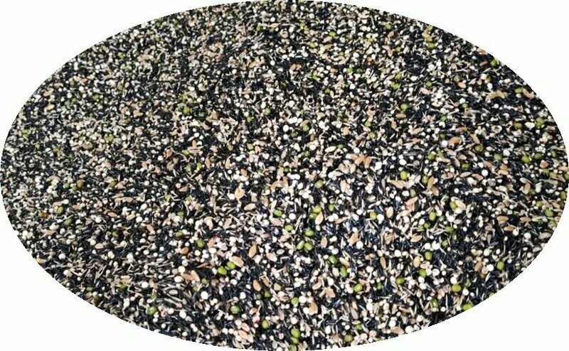 SEMILLA DE GERMINAR BLANCO