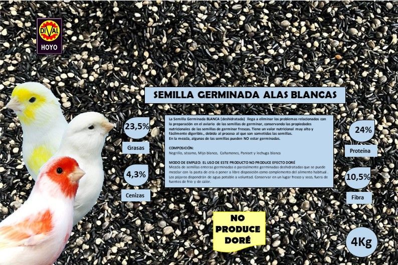 SEMILLA GERMINADA, DESHIDRATADA ALAS BLANCAS