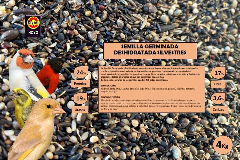 SEMILLAS GERMINADAS DESHIDRATADAS SILVESTRES