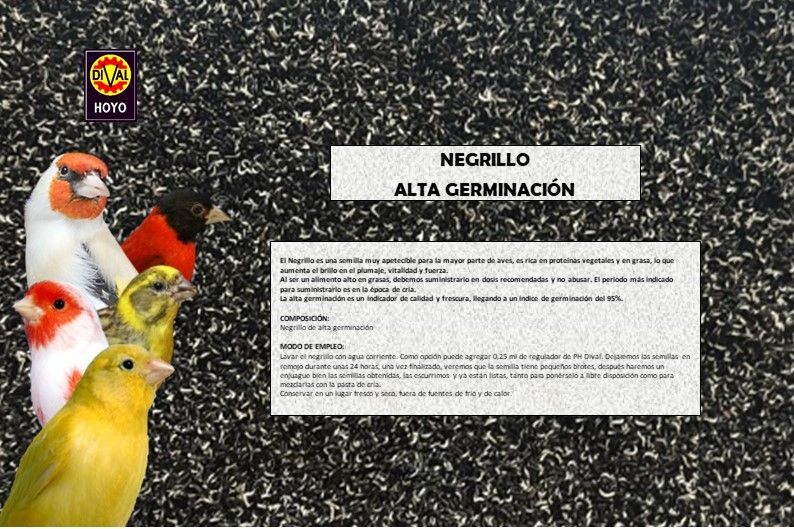 NEGRILLO DE ALTA GERMINACIÓN