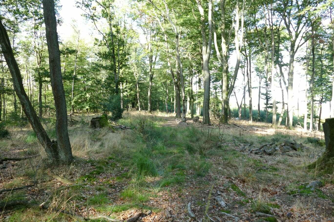 1 m² Schutz für 100 Jahre