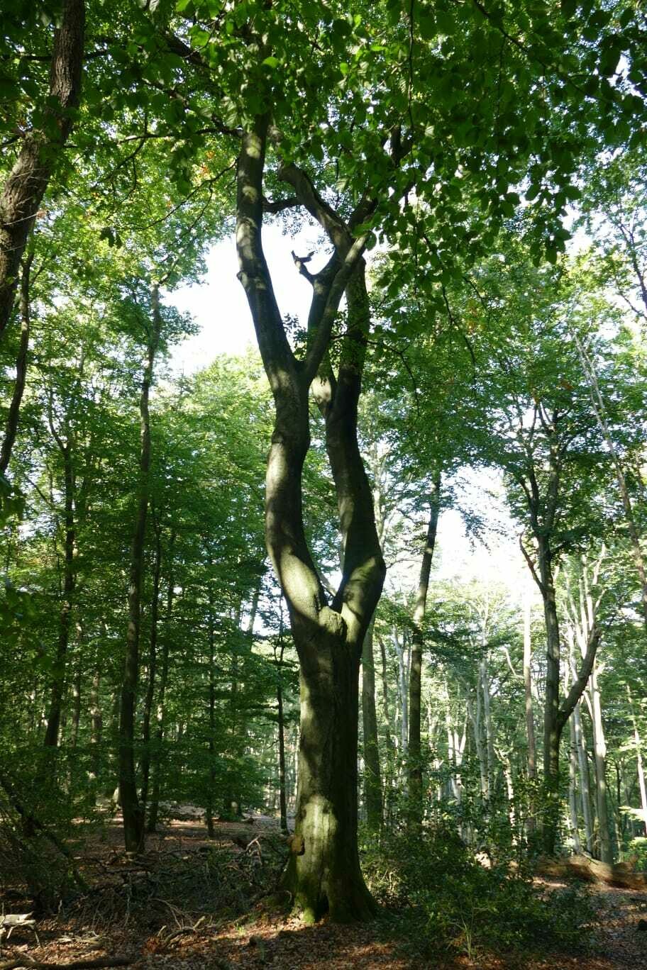 10 m² Schutz für 100 Jahre