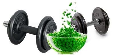 NUTRICION DEPORTIVA ECOLOGICA