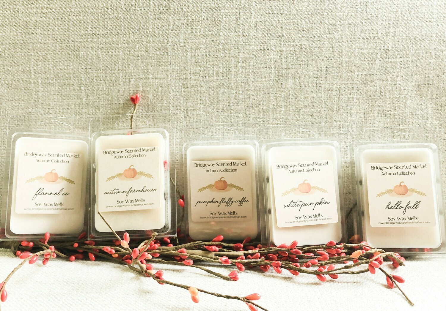 Bundle of 5 Soy Autumn Melts - Shipping Included