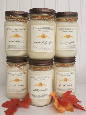 Bundle of 6 Soy Autumn Candles- Shipping Included