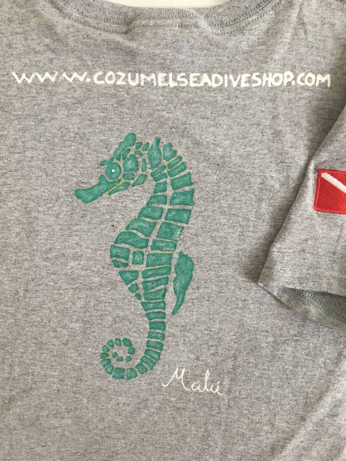 T Shirts (hand painted)