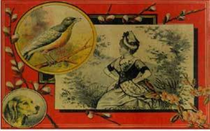 Woman bird dog print decal sticker trunk liner paper chest steamer antique vintage old sign