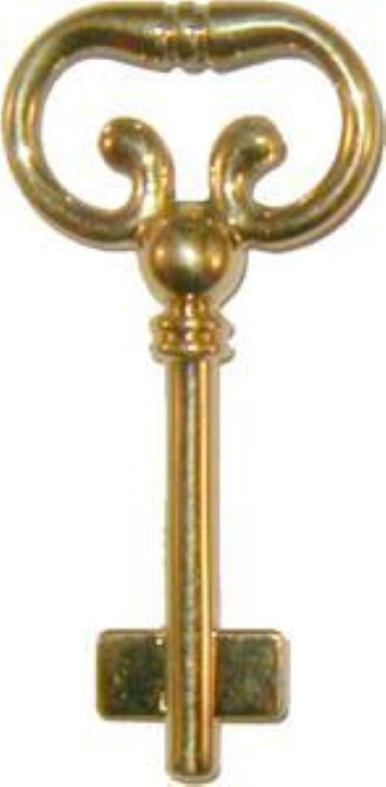 Solid Brass Blank Key for Roll Top Desk Lock - Brass Polished Skeleton Antique vintage retro fancy cast cabinet curio