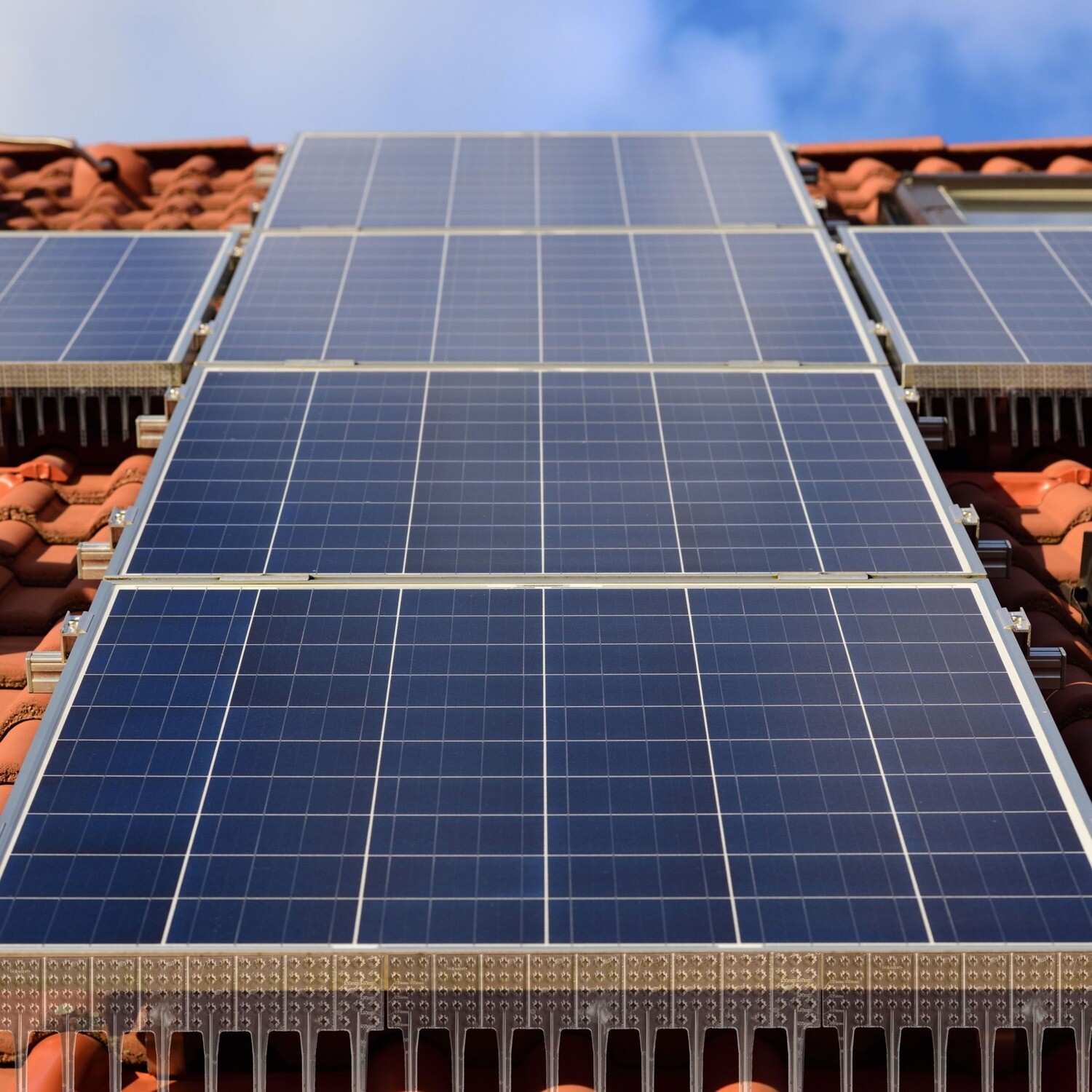 Fuglesperre for solcellepanel