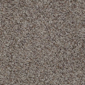 Shooting Star II Carpet - Parchment Per Sq Ft