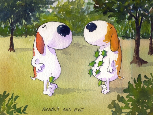 Arnold and Eve