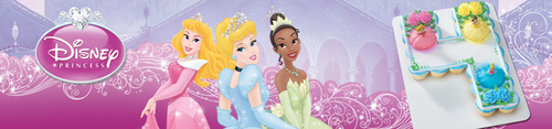 Disney Princess Banner 