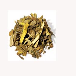 Oregon Grape Root