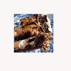 Pleurisy Root