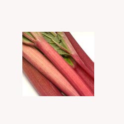 Rhubarb