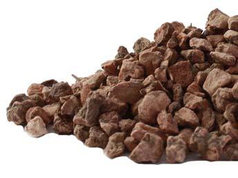 Alum Root &quot;Cranesbill&quot;