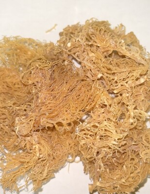 Sea Moss Gold
