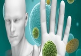 Immune System