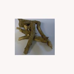 Bois Bande - loose tea