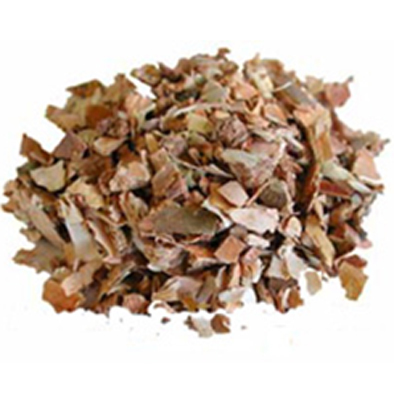 Birch Bark
