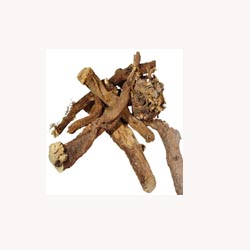 Licorice Root