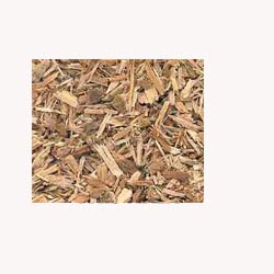 White Willow Bark