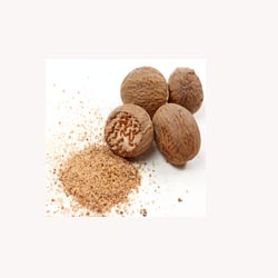 Nutmeg