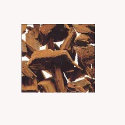 Pygeum Root (Powder)