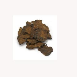 Lovage Root - 50 Capsules