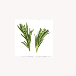Rosemary Leaves - 50 Capsules