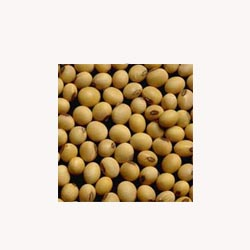 Lecithin
