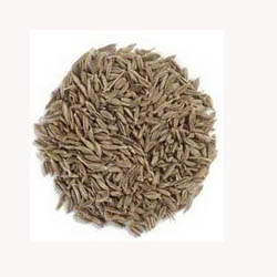 Cumin Seeds