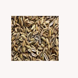 Fennel Seeds - Loose Tea