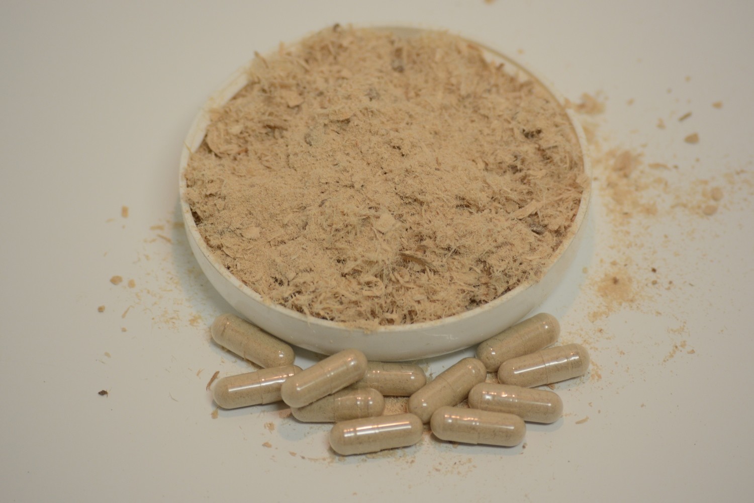 Slippery Elm 50 Capsules
