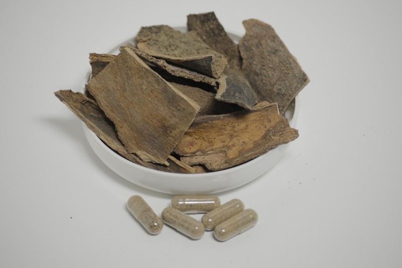 Bois Bande - 50 capsules