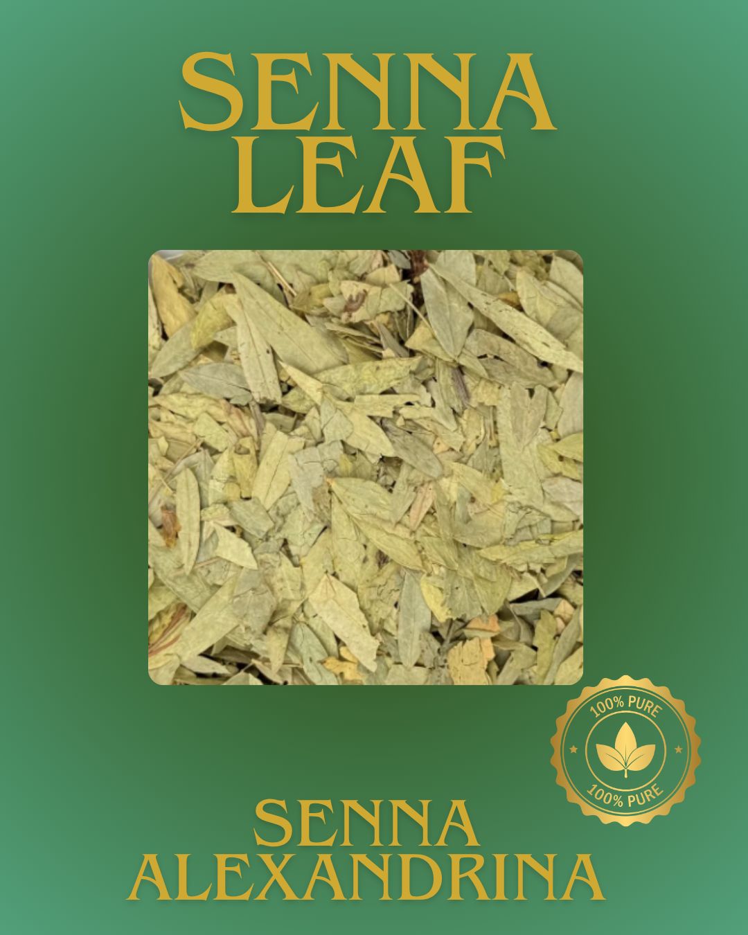 Senna Leaves