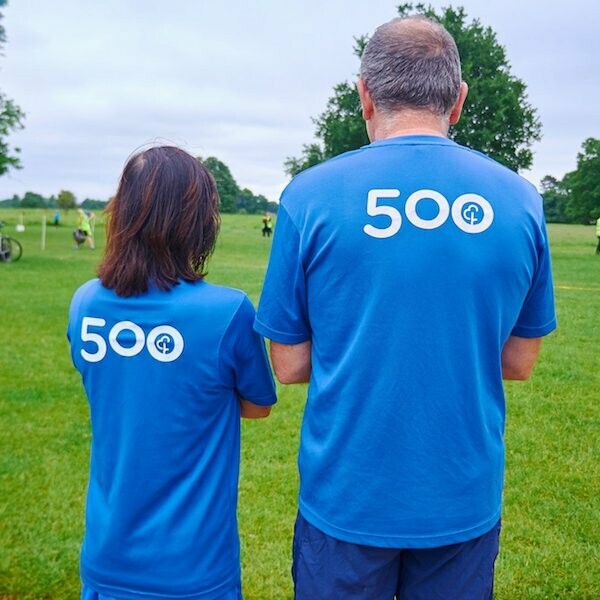 500 runs