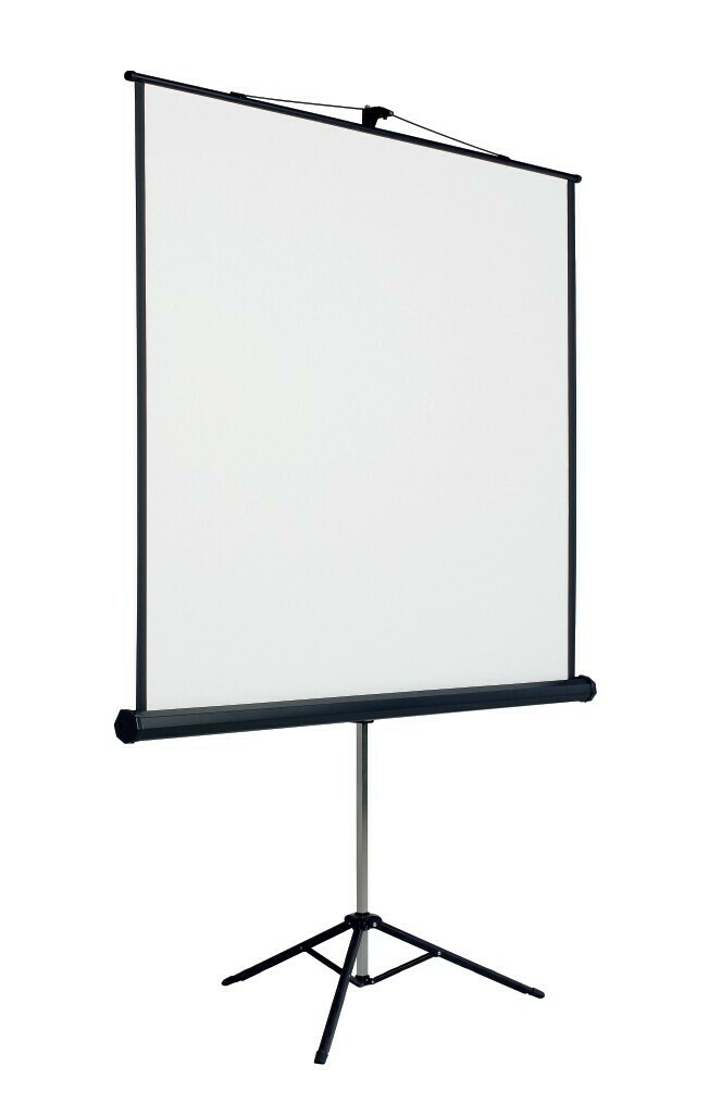 Stativ-Leinwand BUDGET im Mass 203 x 203 cm