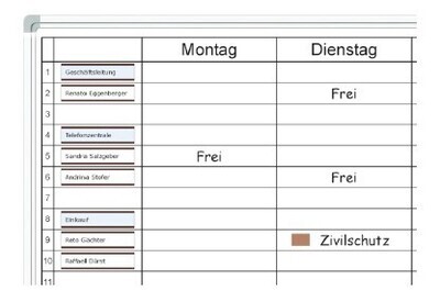 Einwochenplaner von Montag bis Sonntag mit 30 Positionen, Businessline-Profil alu