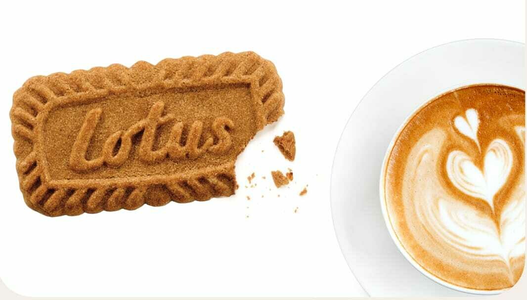 Biscotti Lotus Originali Incartati singolarmente (50 BISCOTTI)